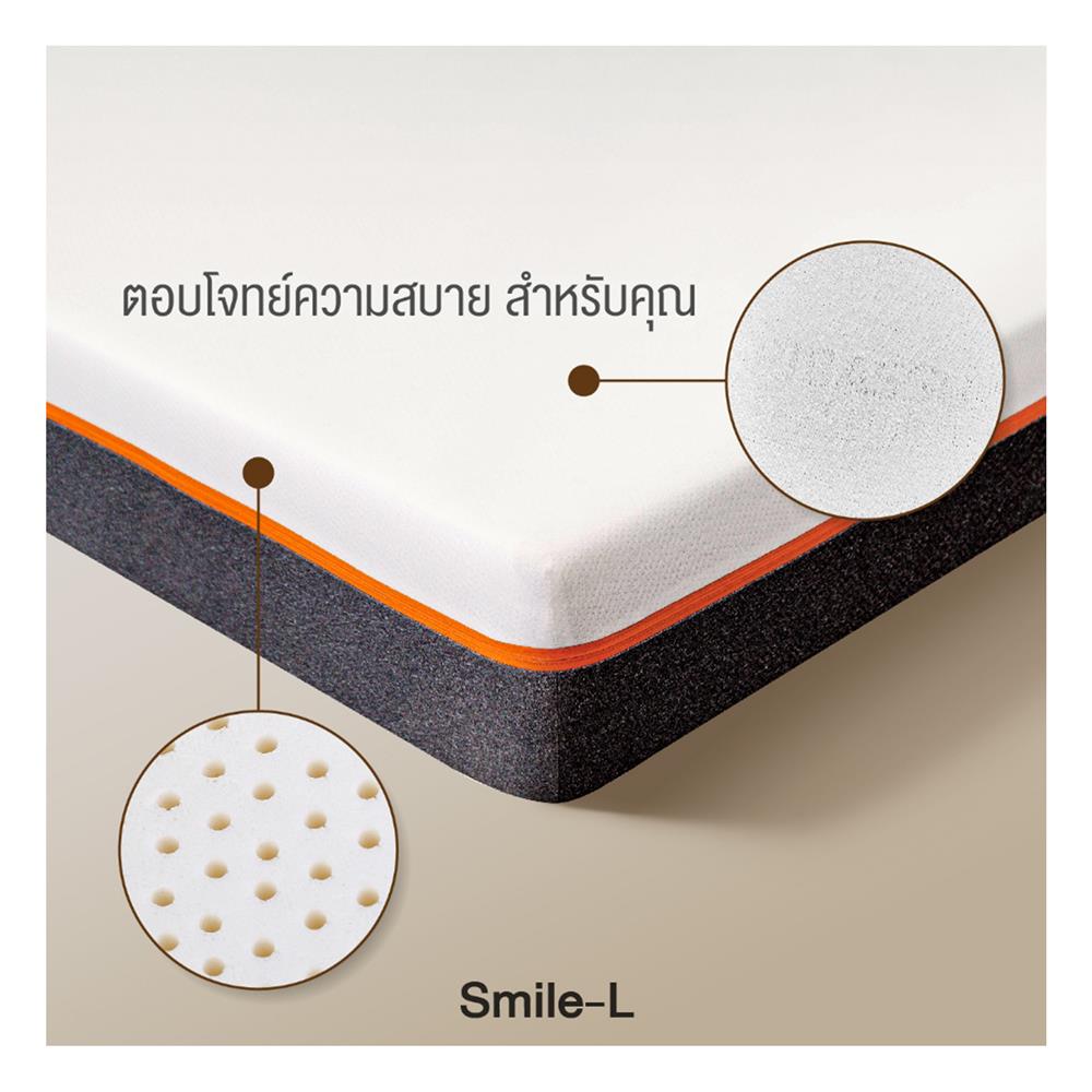 ที่นอน 6 ฟุต PICASSO SMILE L 4 นิ้ว (พร้อมหมอนหนุน 2 ใบ)