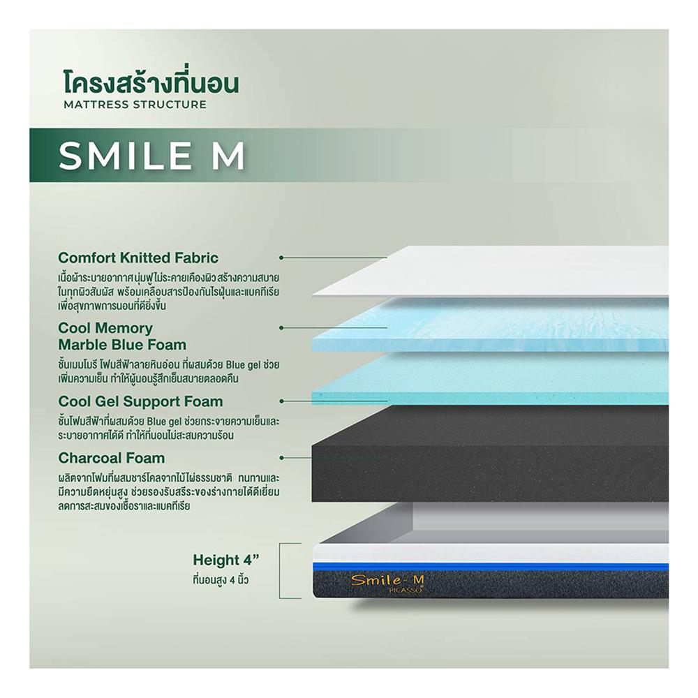 ที่นอน 6 ฟุต PICASSO SMILE M 4 นิ้ว (พร้อมหมอนหนุน 2 ใบ)