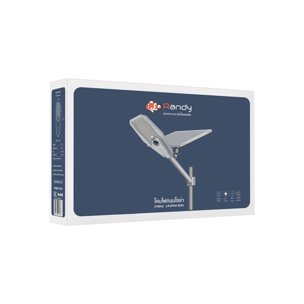 ไฟถนน SOLAR RANDY DW-XJ-904 400 วัตต์ DAYLIGHT สีเทา