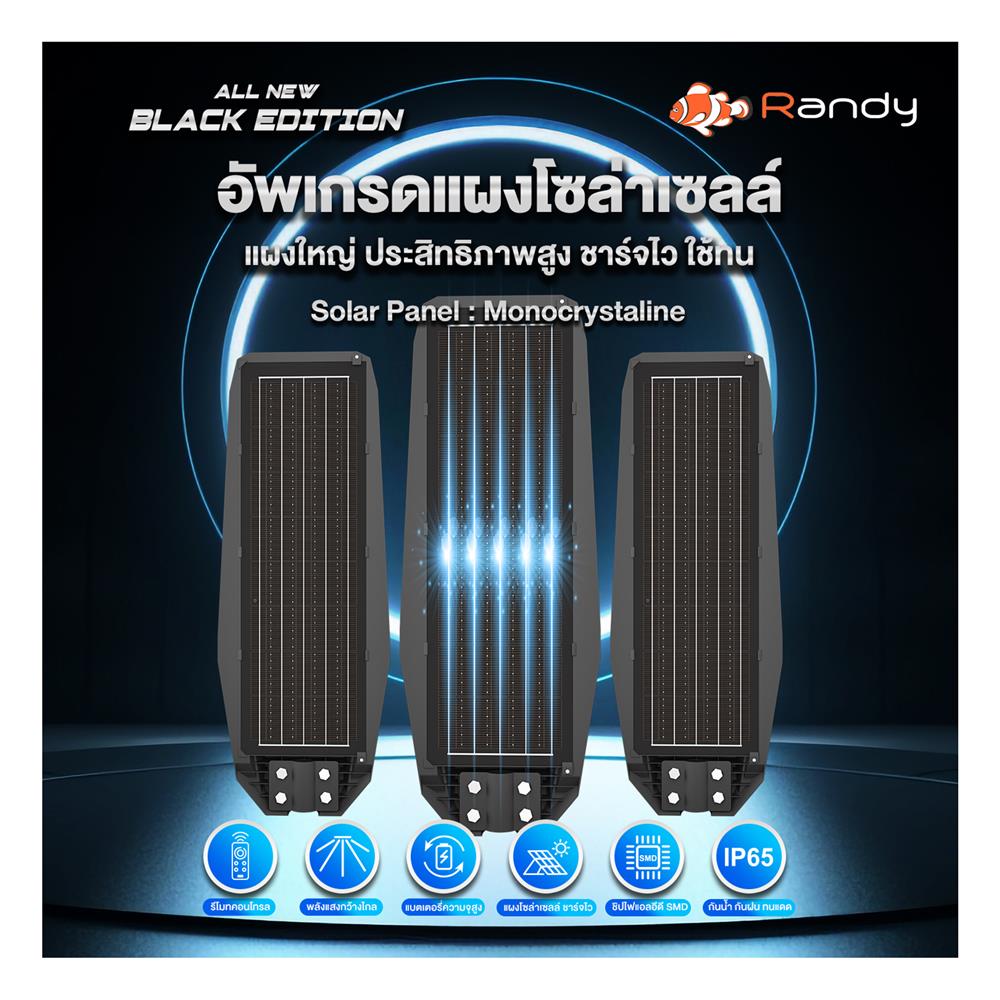 ไฟถนน SOLAR RANDY DW-LH9250 250 วัตต์ DAYLIGHT สีดำ