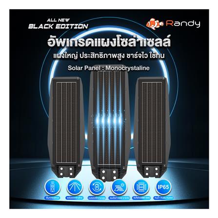 ไฟถนน SOLAR RANDY DW-LH9250 250 วัตต์ DAYLIGHT สีดำ_15