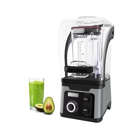 เครื่องปั่นรอบสูง BIOCHEF SMOOTHIES 2.50 ลิตร สีเทา_5