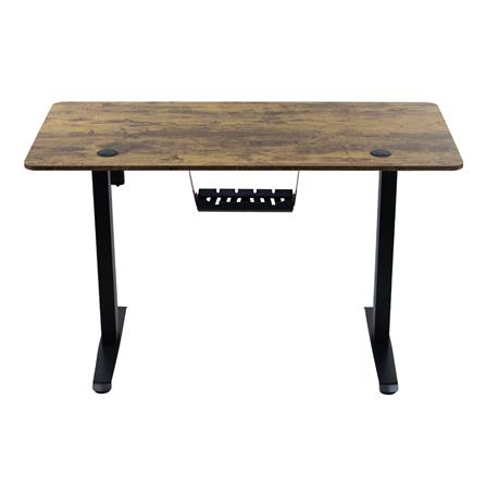 โต๊ะปรับระดับไฟฟ้า EGA GD10 120 ซม. ลายไม้_1