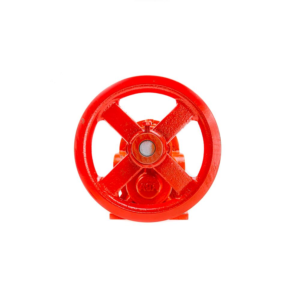 ปั๊มเฟืองเหล็ก CAPITAL GC-25 1 นิ้ว