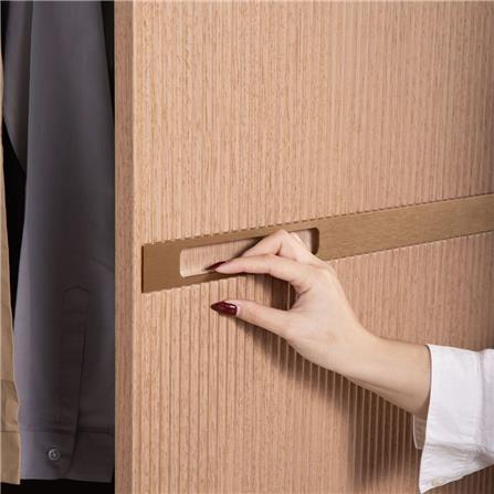 ตู้เสื้อผ้า 2 บานเปิด SB BUILT IN WARDROBE PLUS 59062808 100 ซม. สีวอลนัท_3