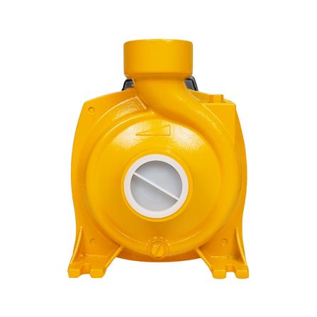 ปั๊มหอยโข่ง DEXZON HPA 2 แรงม้า_1