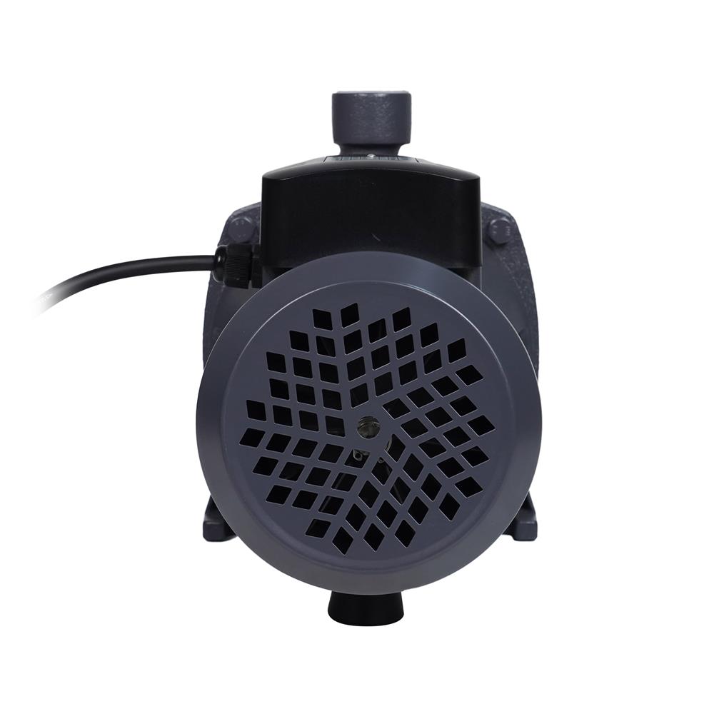 ปั๊มหอยโข่ง DEXZON HPC 1 แรงม้า