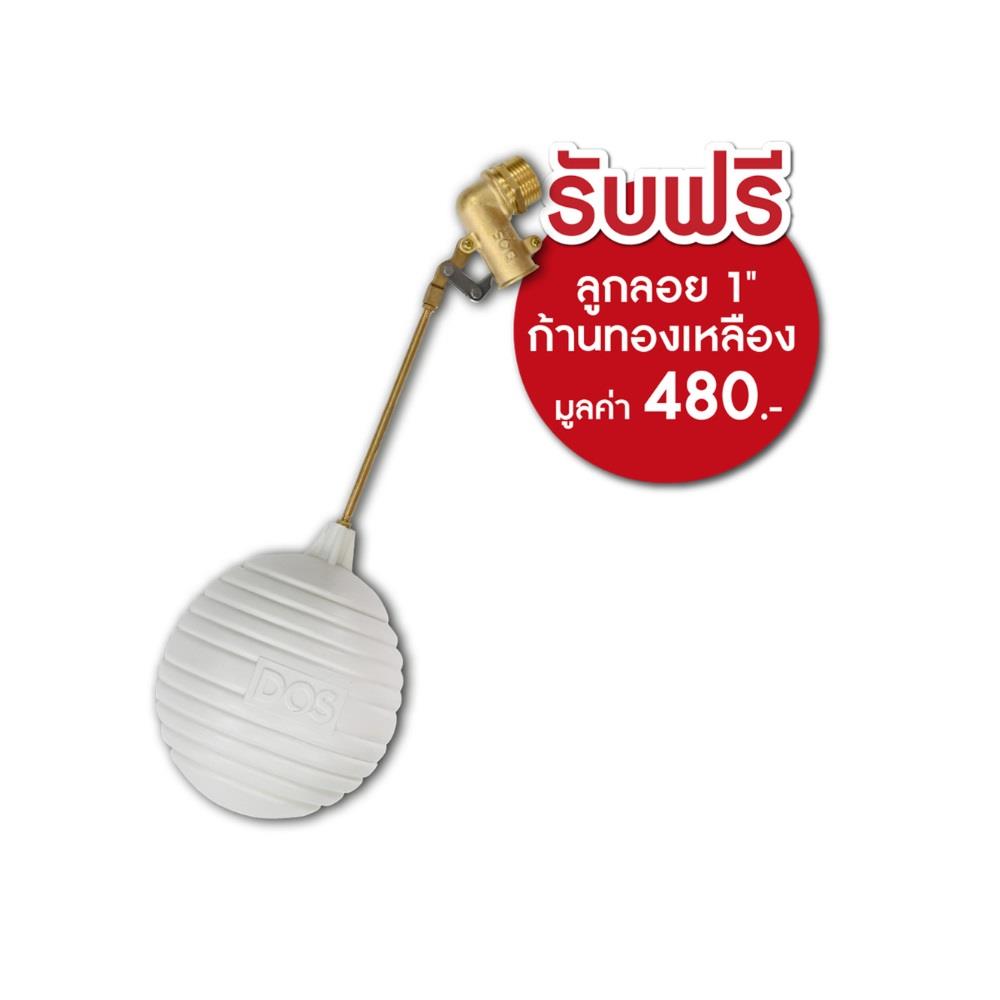 ถังเก็บน้ำ DOS WATER PAC DX5 1000 ลิตร+ปั๊ม HITACHI WMP150XX2 150 วัตต์+เครื่องกรองน้ำใช้ DUPONT สีเทา