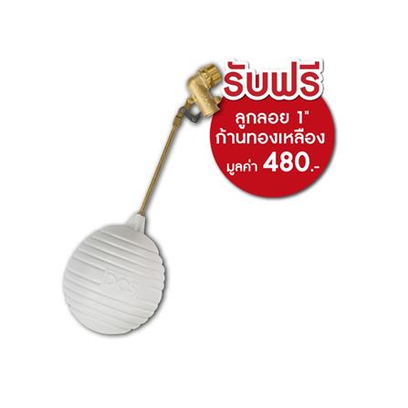 ถังเก็บน้ำ DOS WATER PAC DX5 1000 ลิตร+ปั๊ม HITACHI WMP150XX2 150 วัตต์+เครื่องกรองน้ำใช้ DUPONT สีเทา_1