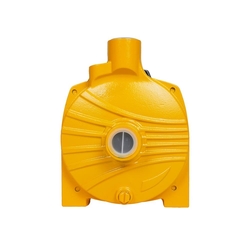 ปั๊มหอยโข่ง DEXZON HPA 1 แรงม้า