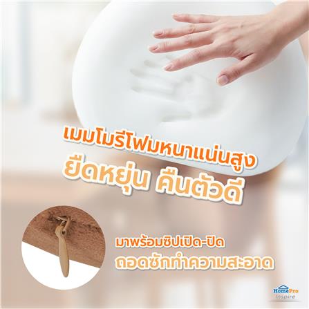 เบาะรองหลัง SNAZZ LITTLE-B 16.5X13นิ้ว สีน้ำตาล_9