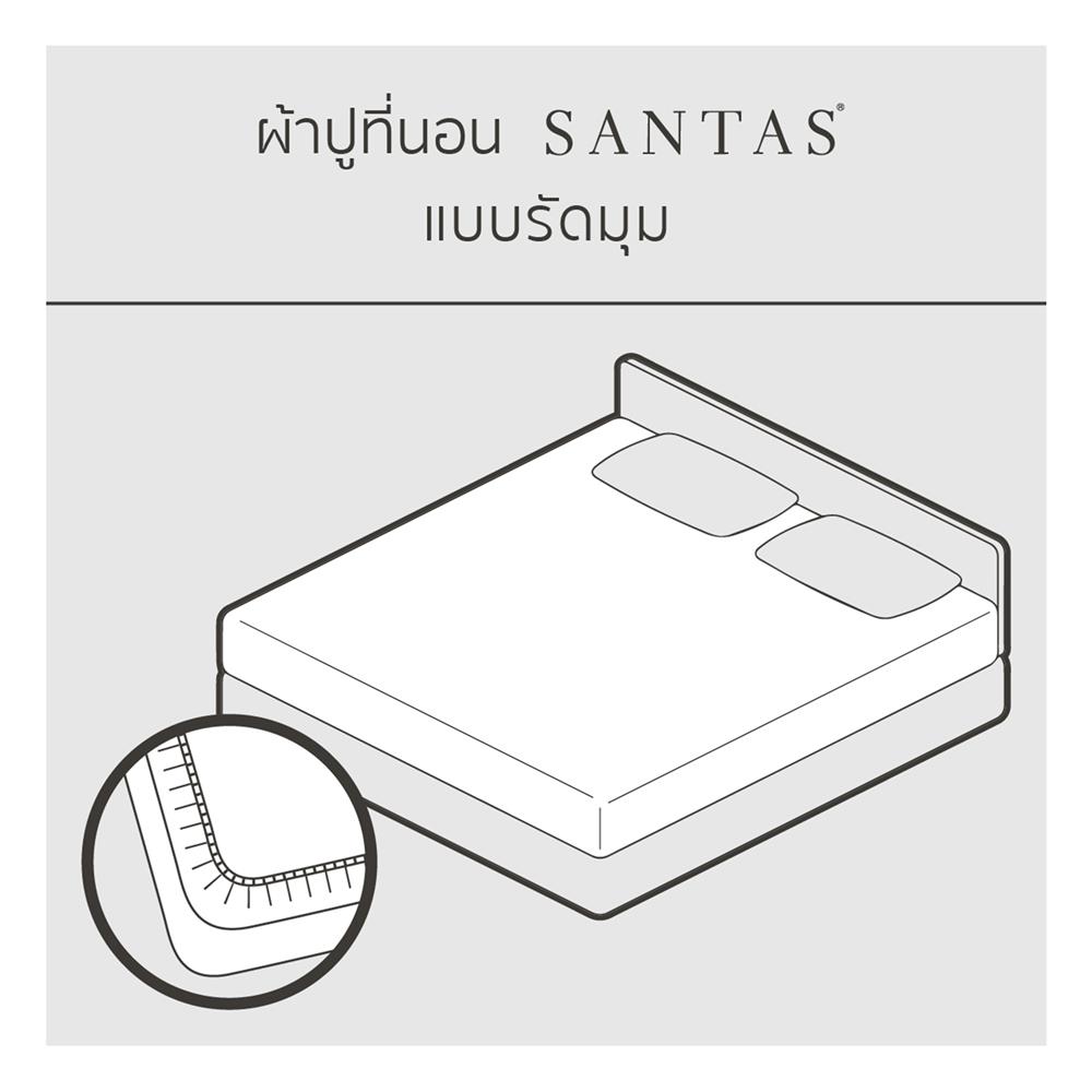 ชุดผ้าปูที่นอน 6 ฟุต (ชุด 7 ชิ้น) SANTAS COTTON USA JOYBLOOM GR