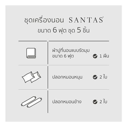 ชุดผ้าปูที่นอน 6 ฟุต (ชุด 5 ชิ้น) SANTAS MODAL TWINLKE GR_6