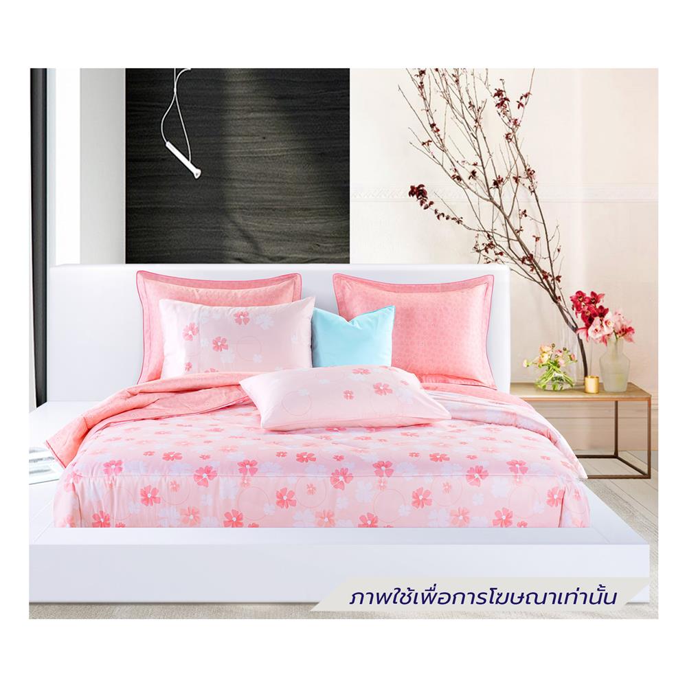 ชุดผ้าปูที่นอน 6 ฟุต (ชุด 6 ชิ้น) SANTAS COTTON USA SWEET PEA PI