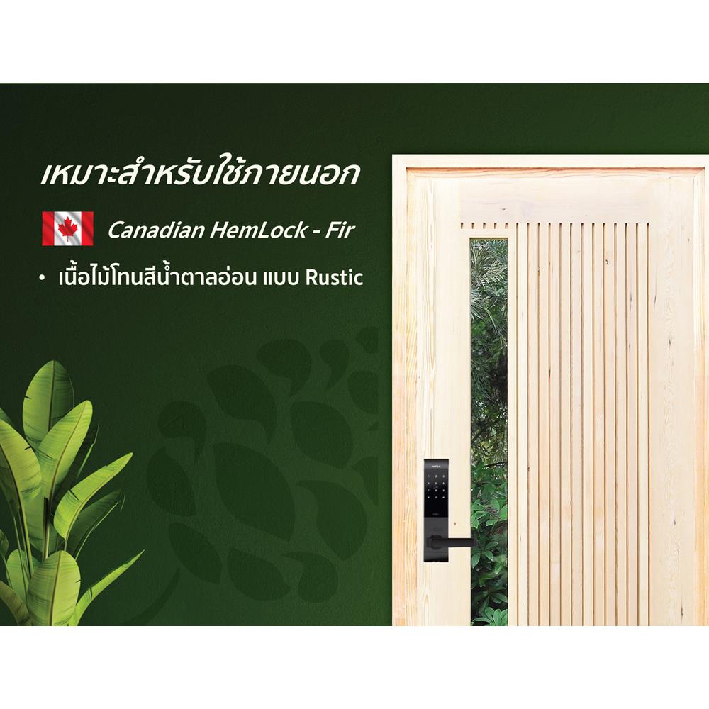 ประตูไม้เฮมล็อกเฟอร์ ไม่เจาะลูกบิด D2D ECO PINE-070 80x200 ซม. สีธรรมชาติ