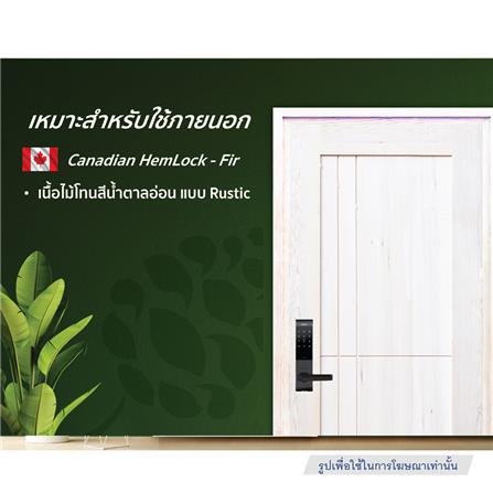 ประตูไม้เฮมล็อกเฟอร์ ไม่เจาะลูกบิด D2D ECO PINE-037 80x200 ซม. สีธรรมชาติ_3