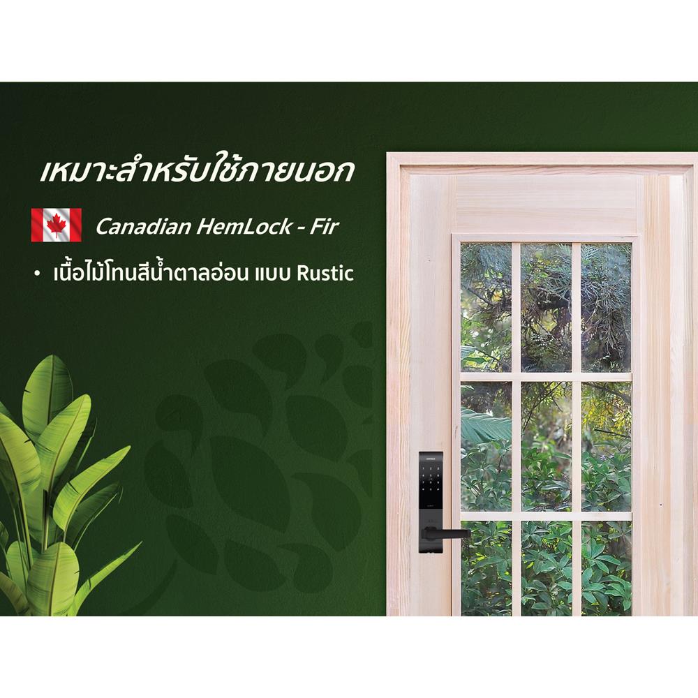 ประตูไม้เฮมล็อกเฟอร์ ไม่เจาะลูกบิด D2D-427 80x200 ซม. สีธรรมชาติ