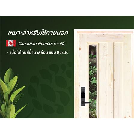 ประตูไม้เฮมล็อกเฟอร์ ไม่เจาะลูกบิด D2D ECO PINE-071 80x200 ซม. สีธรรมชาติ_3