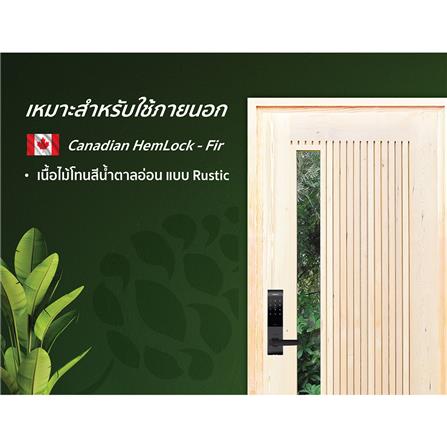 ประตูไม้เฮมล็อกเฟอร์ ไม่เจาะลูกบิด D2D ECO PINE-070 90x200 ซม. สีธรรมชาติ_3