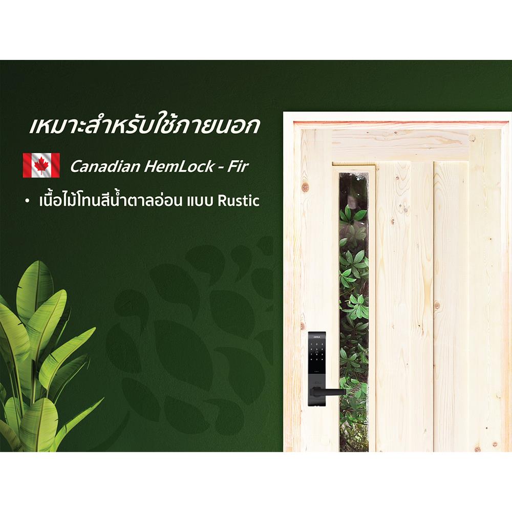 ประตูไม้เฮมล็อกเฟอร์ ไม่เจาะลูกบิด D2D ECO PINE-071 90x200 ซม. สีธรรมชาติ