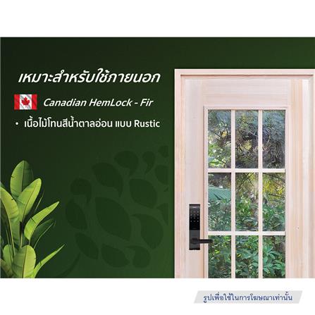 ประตูไม้เฮมล็อกเฟอร์ ไม่เจาะลูกบิด D2D-427 90x200 ซม. สีธรรมชาติ_2