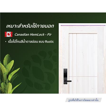 ประตูไม้เฮมล็อกเฟอร์ ไม่เจาะลูกบิด D2D ECO PINE-037 90x200 ซม. สีธรรมชาติ_3