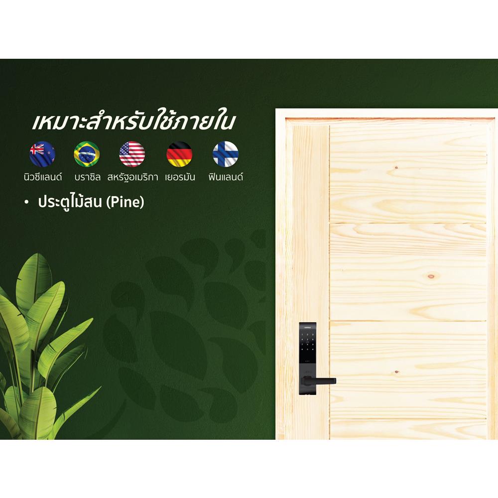 ประตูไม้สนนิวซีแลนด์ ไม่เจาะลูกบิด D2D ECO PINE-805 80x200 ซม. สีธรรมชาติ