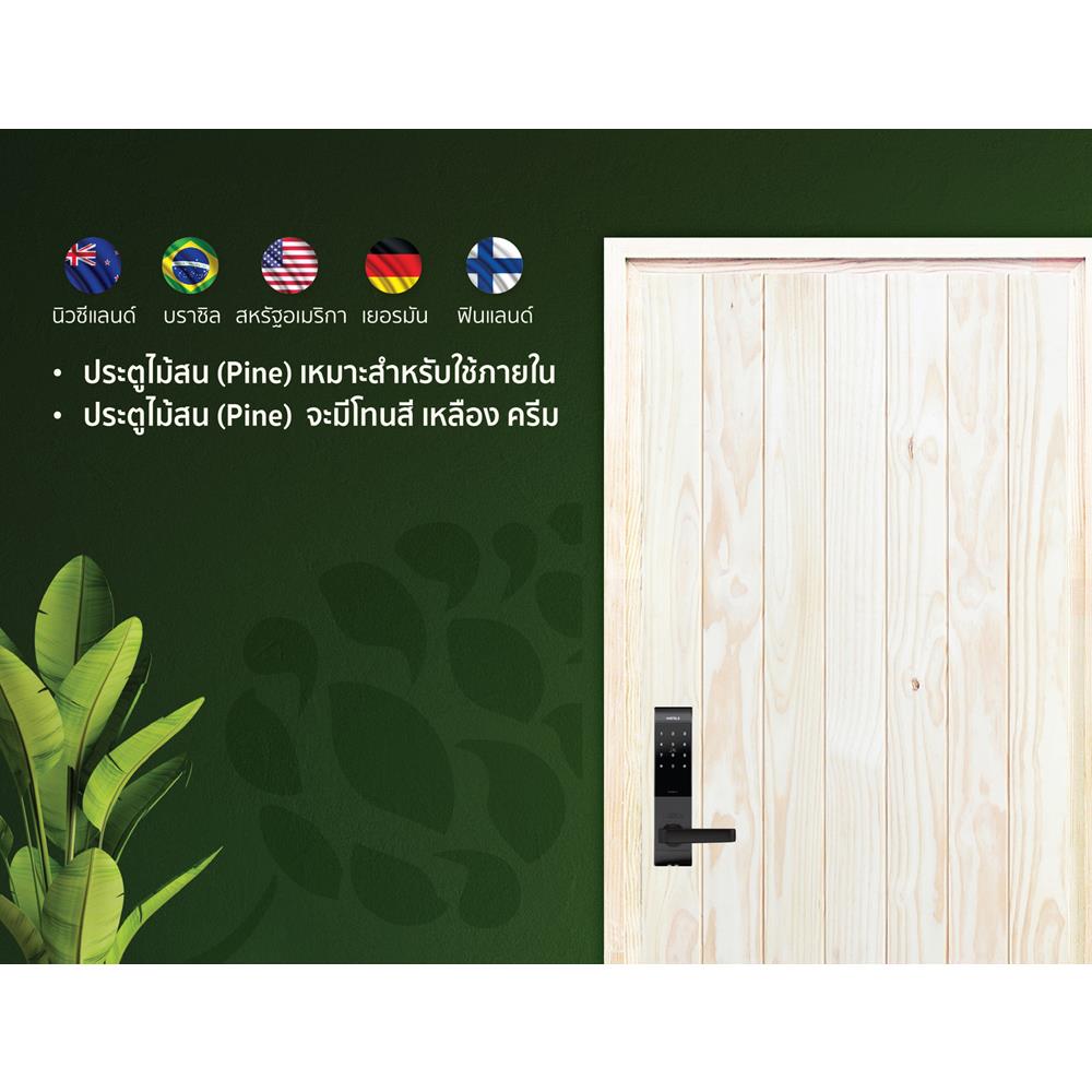 ประตูไม้สนนิวซีแลนด์ ไม่เจาะลูกบิด D2D ECO PINE-802 80x200 ซม. สีธรรมชาติ