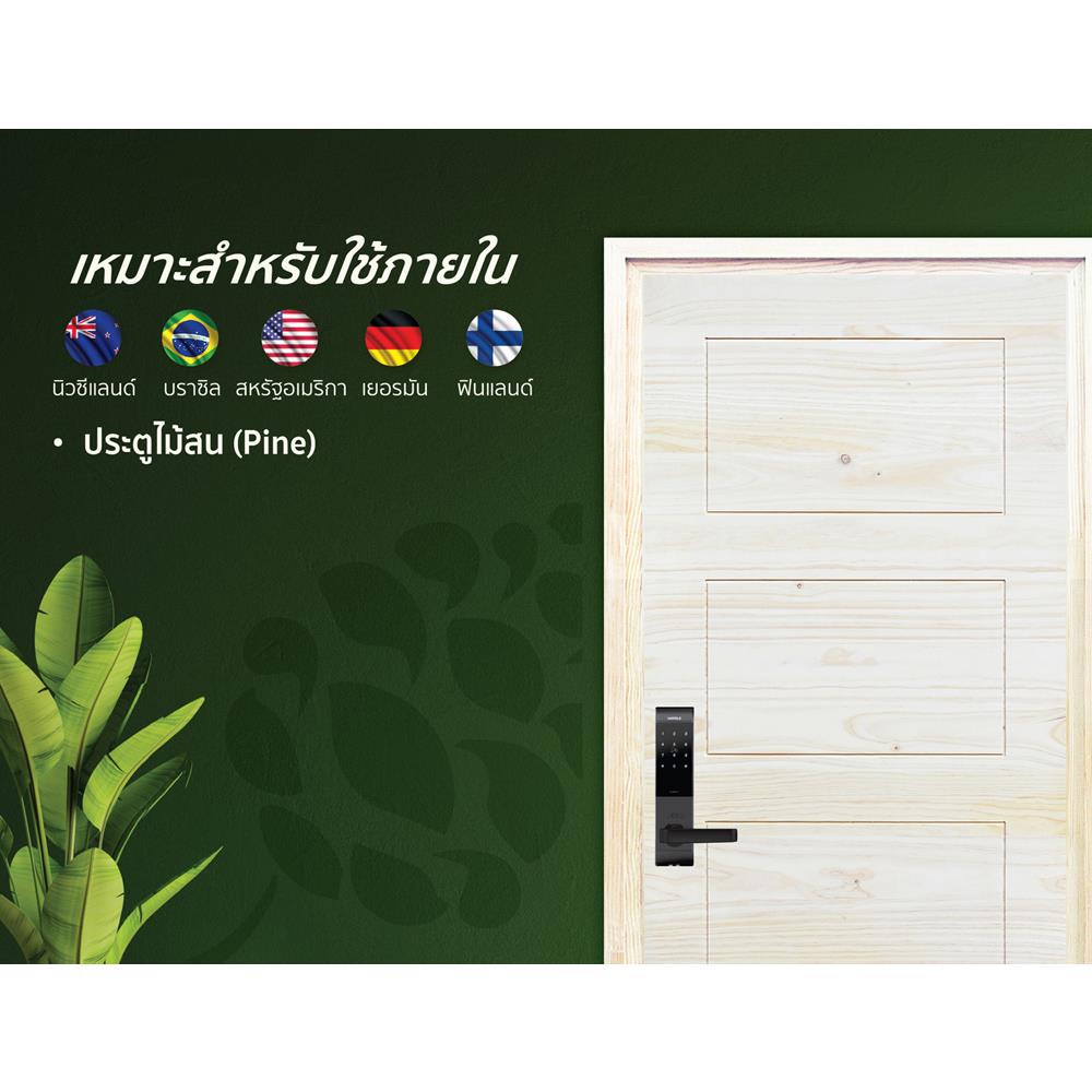 ประตูไม้สนนิวซีแลนด์ ไม่เจาะลูกบิด D2D ECO PINE-811 80x200 ซม. สีธรรมชาติ