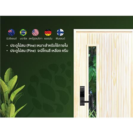 ประตูไม้สนนิวซีแลนด์ ไม่เจาะลูกบิด D2D-912 80x200 ซม. สีธรรมชาติ_3