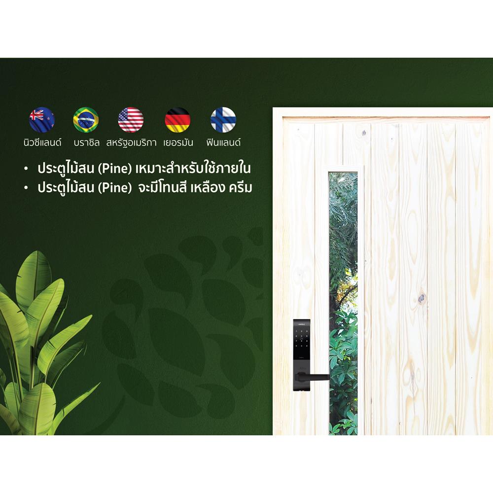 ประตูไม้สนนิวซีแลนด์ ไม่เจาะลูกบิด D2D ECO PINE-813 80x200 ซม. สีธรรมชาติ