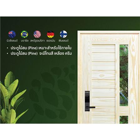 ประตูไม้สนนิวซีแลนด์ ไม่เจาะลูกบิด D2D D2D-408 90x200 ซม. สีธรรมชาติ_3