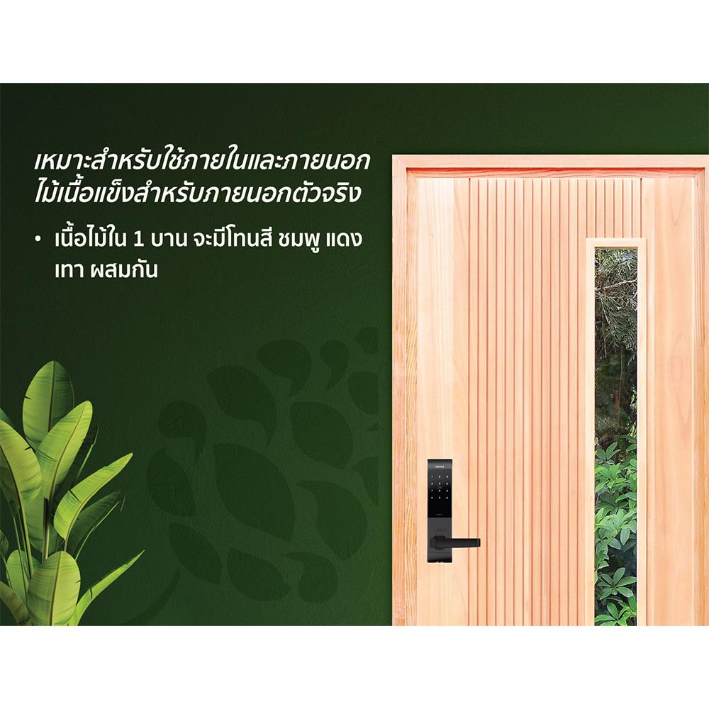 ประตูไม้เรดแกรนด์ดิส ไม่เจาะลูกบิด D2D D2D-913 90x200 ซม. สีธรรมชาติ