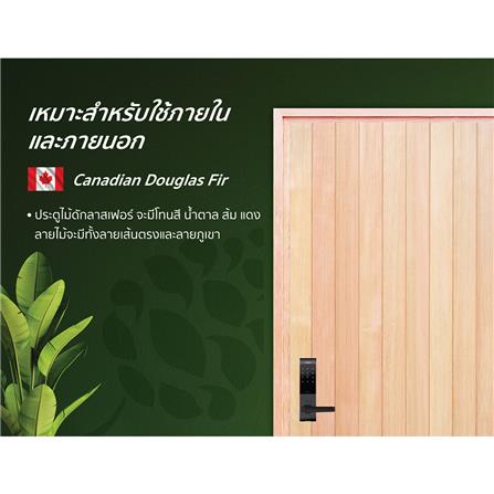 ประตูไม้ดักลาสเฟอร์ ไม่เจาะลูกบิด D2D ECO PINE-802 90x200 ซม. สีธรรมชาติ_3