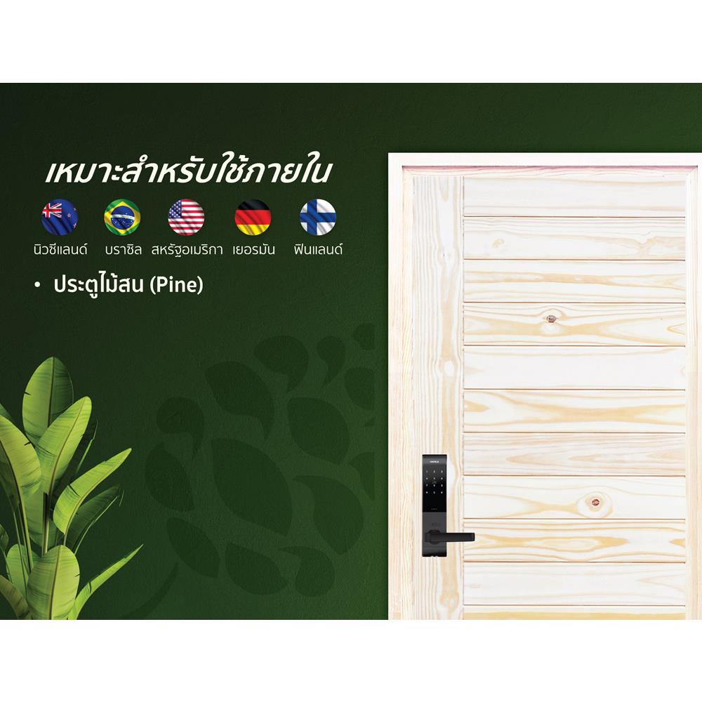 ประตูไม้สนนิวซีแลนด์ ไม่เจาะลูกบิด D2D ECO PINE-814 80x200 ซม. สีธรรมชาติ
