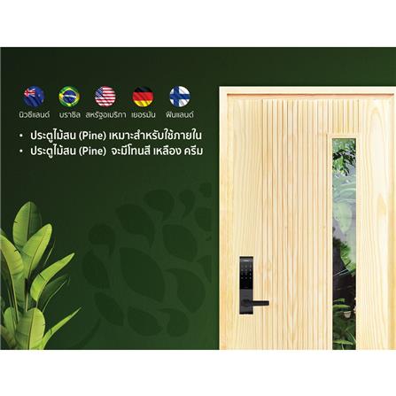 ประตูไม้สนนิวซีแลนด์ ไม่เจาะลูกบิด D2D-913 80x200 ซม. สีธรรมชาติ_3