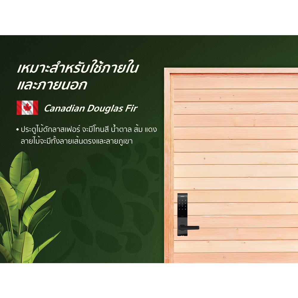 ประตูไม้ดักลาสเฟอร์ ไม่เจาะลูกบิด D2D ECOP PINE-801 90x200 ซม. สีธรรมชาติ