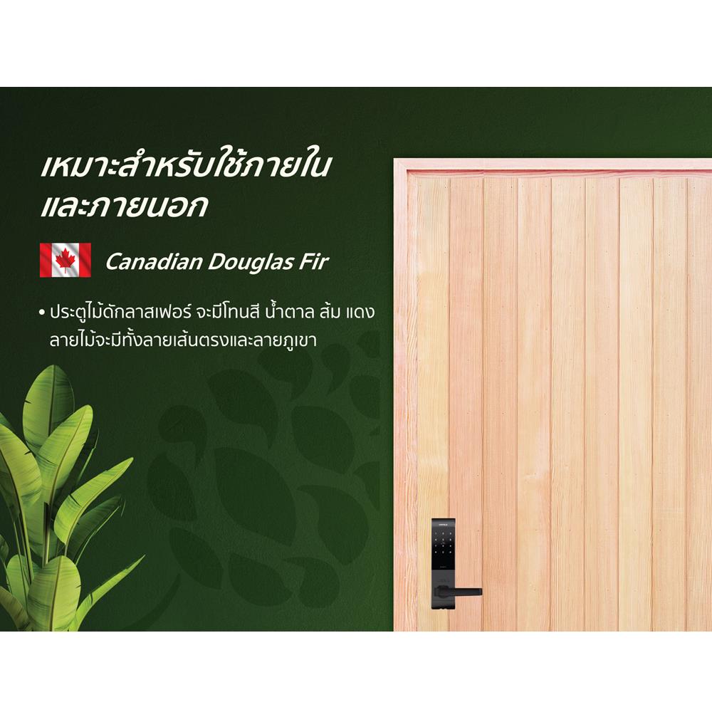 ประตูไม้ดักลาสเฟอร์ ไม่เจาะลูกบิด D2D EcoPine-802 80x200 ซม. สีธรรมชาติ