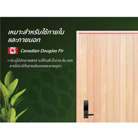 ประตูไม้ดักลาสเฟอร์ ไม่เจาะลูกบิด D2D EcoPine-802 80x200 ซม. สีธรรมชาติ_3