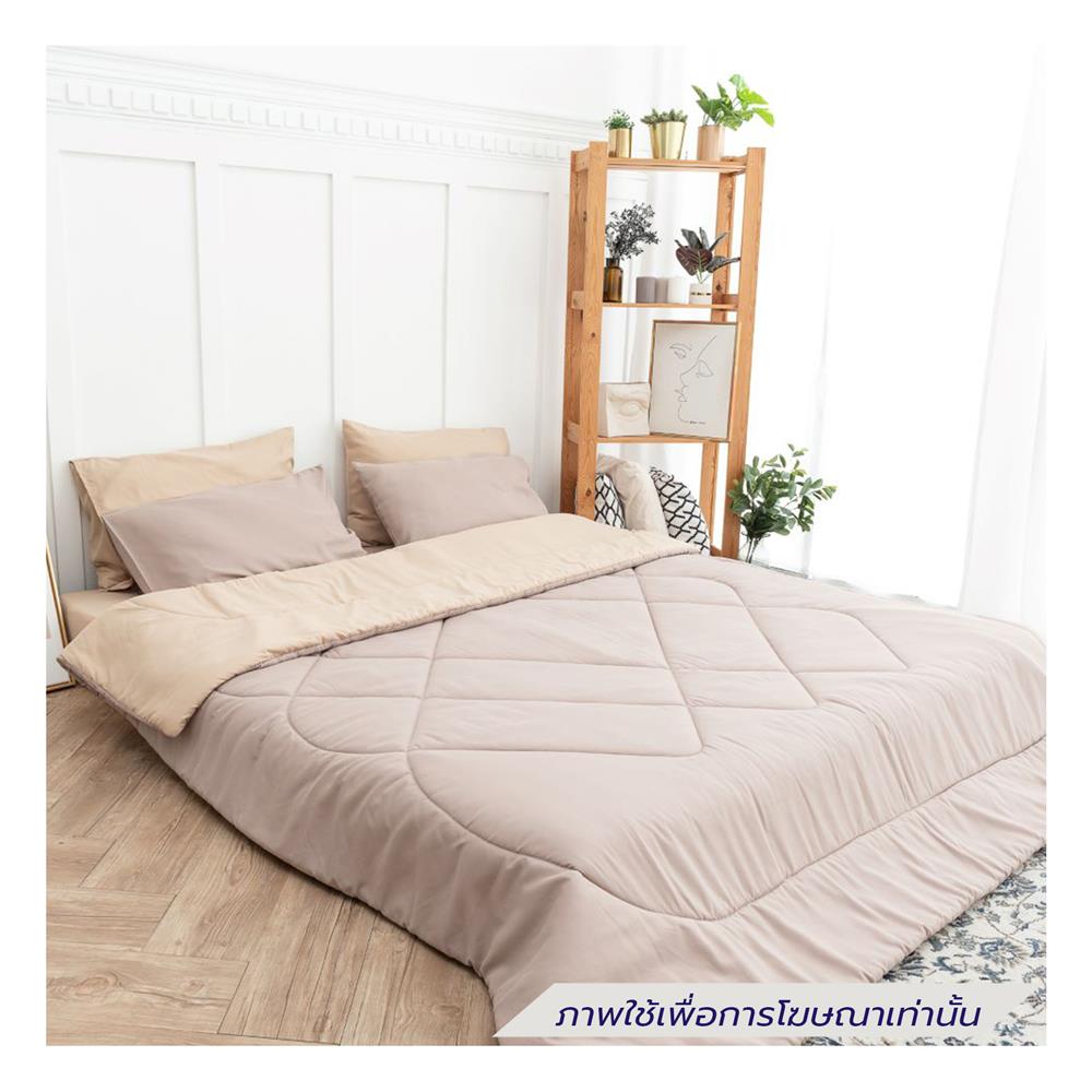 ชุดผ้าปูที่นอน 6 ฟุต (ชุด 6 ชิ้น) SANTA BEDDING สี BROWN/CREAM