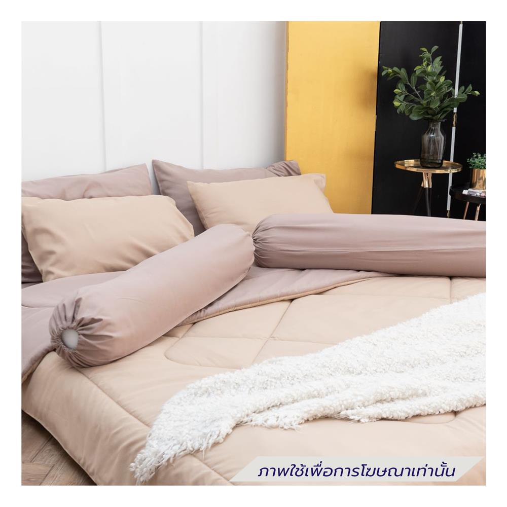 ชุดผ้าปูที่นอน 6 ฟุต (ชุด 6 ชิ้น) SANTA BEDDING สี CREAM/BROWN