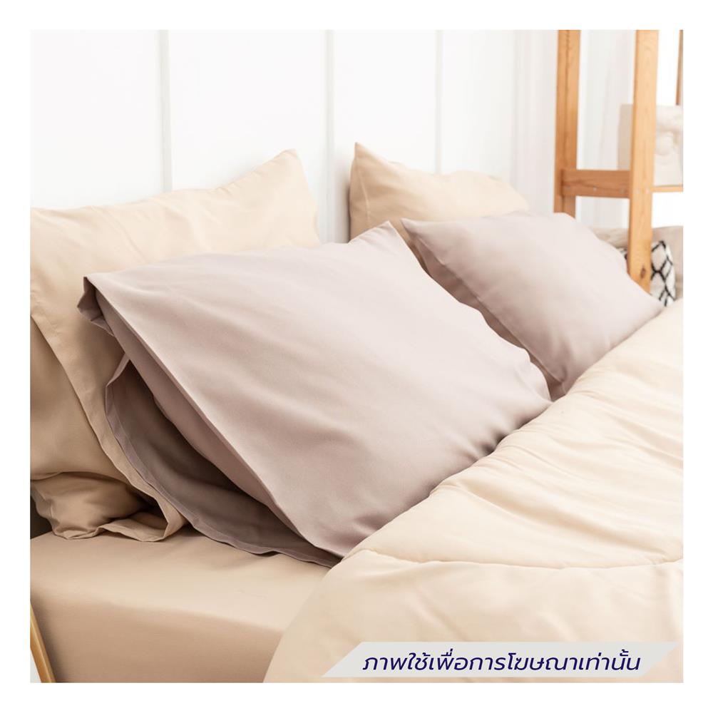 ชุดผ้าปูที่นอน 3.5 ฟุต (ชุด 4 ชิ้น) SANTA BEDDING สี BROWN/CREAM