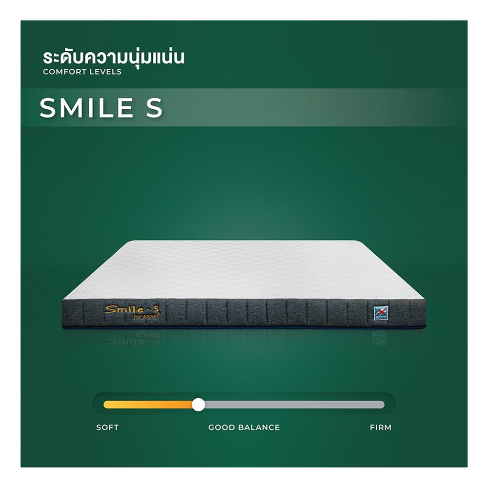 ที่นอน 5 ฟุต PICASSO SMILE S 6 นิ้ว (พร้อมหมอนหนุน 2 ใบ)