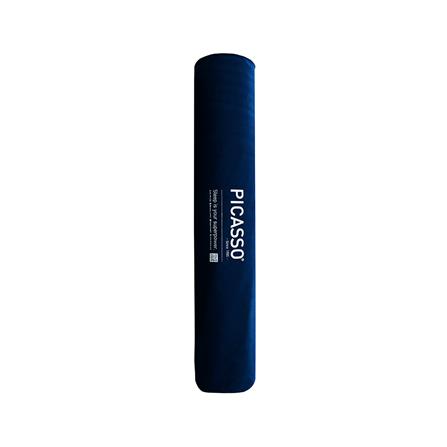 ที่นอน 3.5 ฟุต PICASSO SMILE S 10 นิ้ว (พร้อมหมอนหนุน 1 ใบ)_3