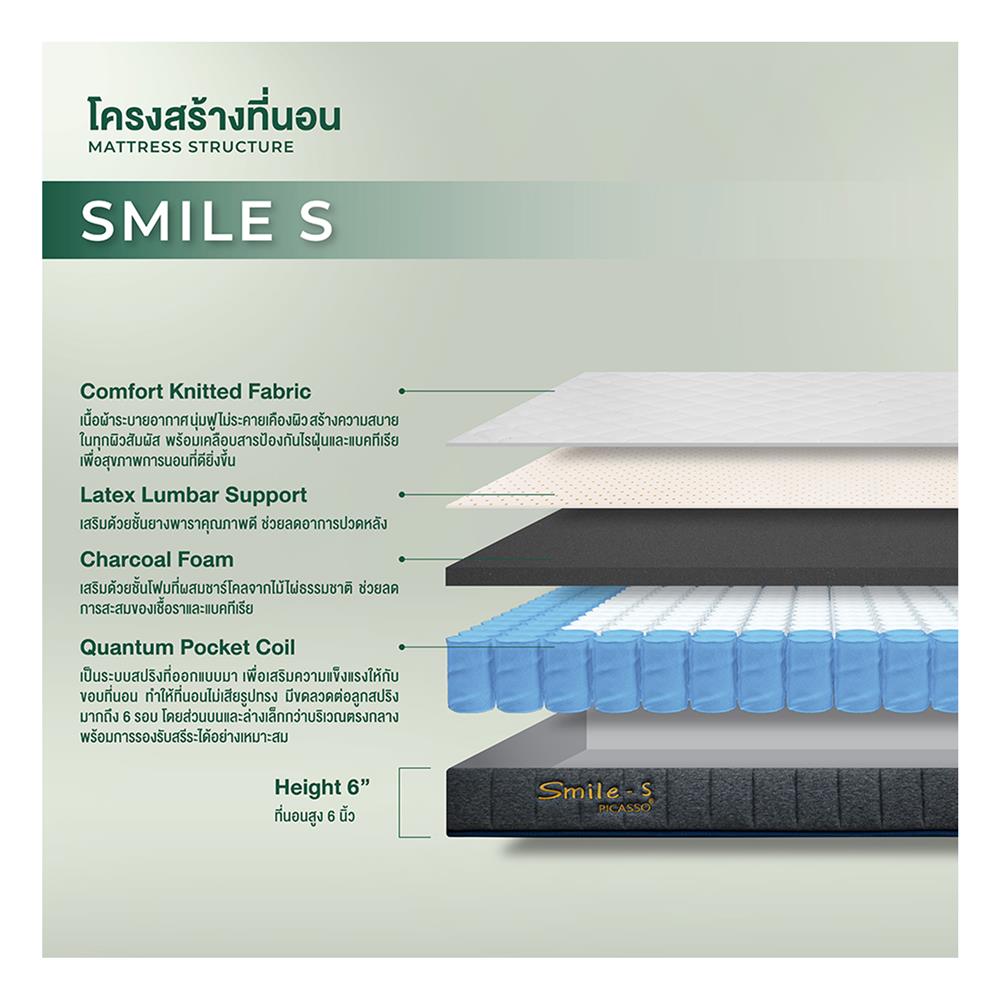 ที่นอน 6 ฟุต PICASSO SMILE S 6 นิ้ว (พร้อมหมอนหนุน 2 ใบ)