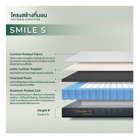 ที่นอน 6 ฟุต PICASSO SMILE S 8 นิ้ว (พร้อมหมอนหนุน 2 ใบ)_5