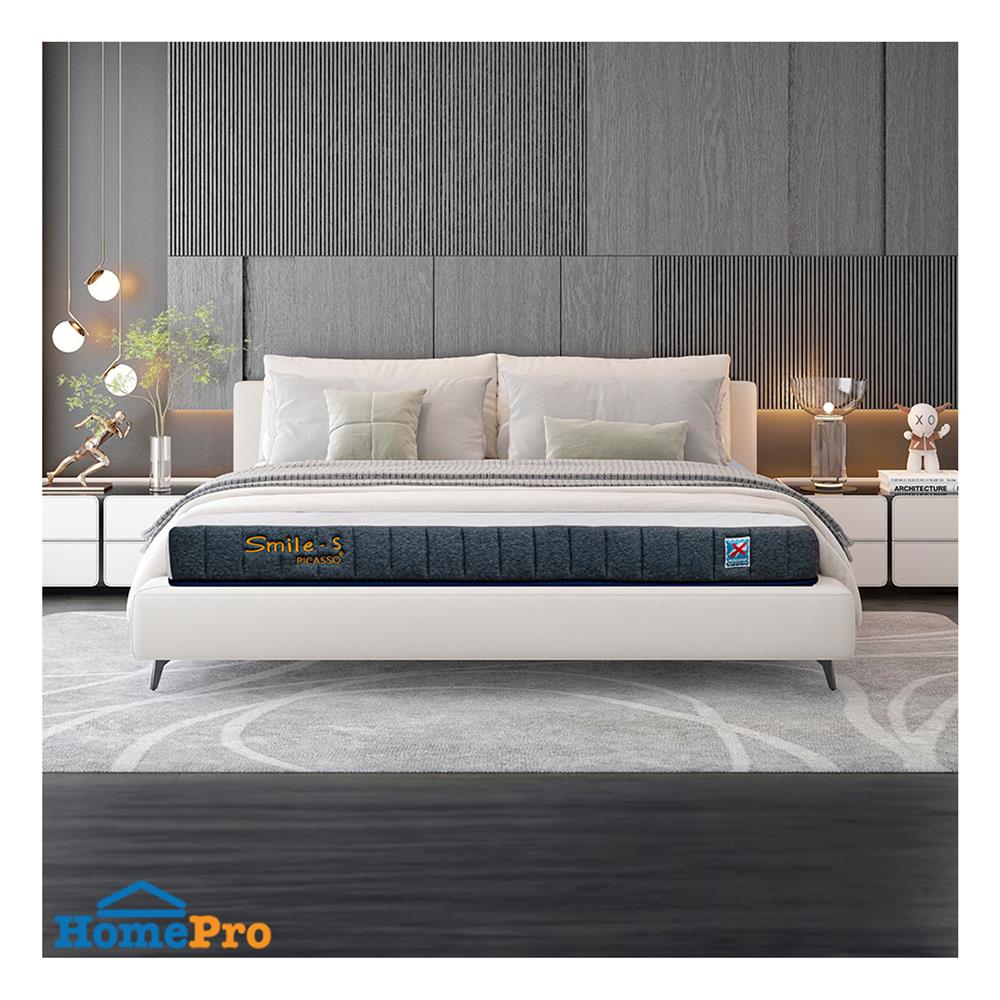 ที่นอน 6 ฟุต PICASSO SMILE S 10 นิ้ว (พร้อมหมอนหนุน 2 ใบ)