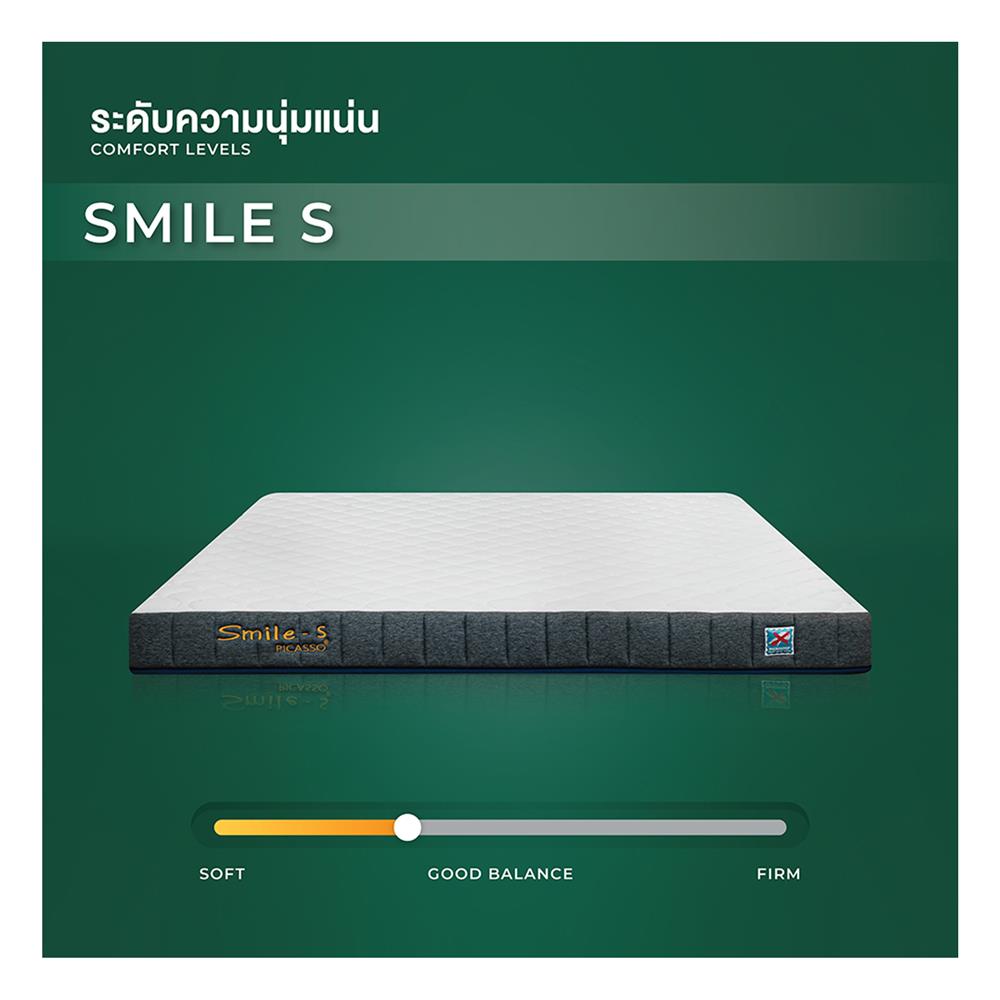ที่นอน 6 ฟุต PICASSO SMILE S 10 นิ้ว (พร้อมหมอนหนุน 2 ใบ)