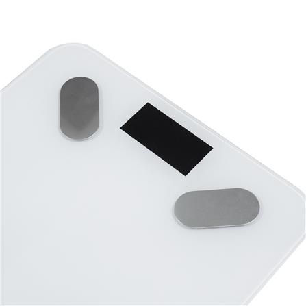 เครื่องชั่งน้ำหนักวัดมวลกาย NIKITO FG2431WB สีขาว_2