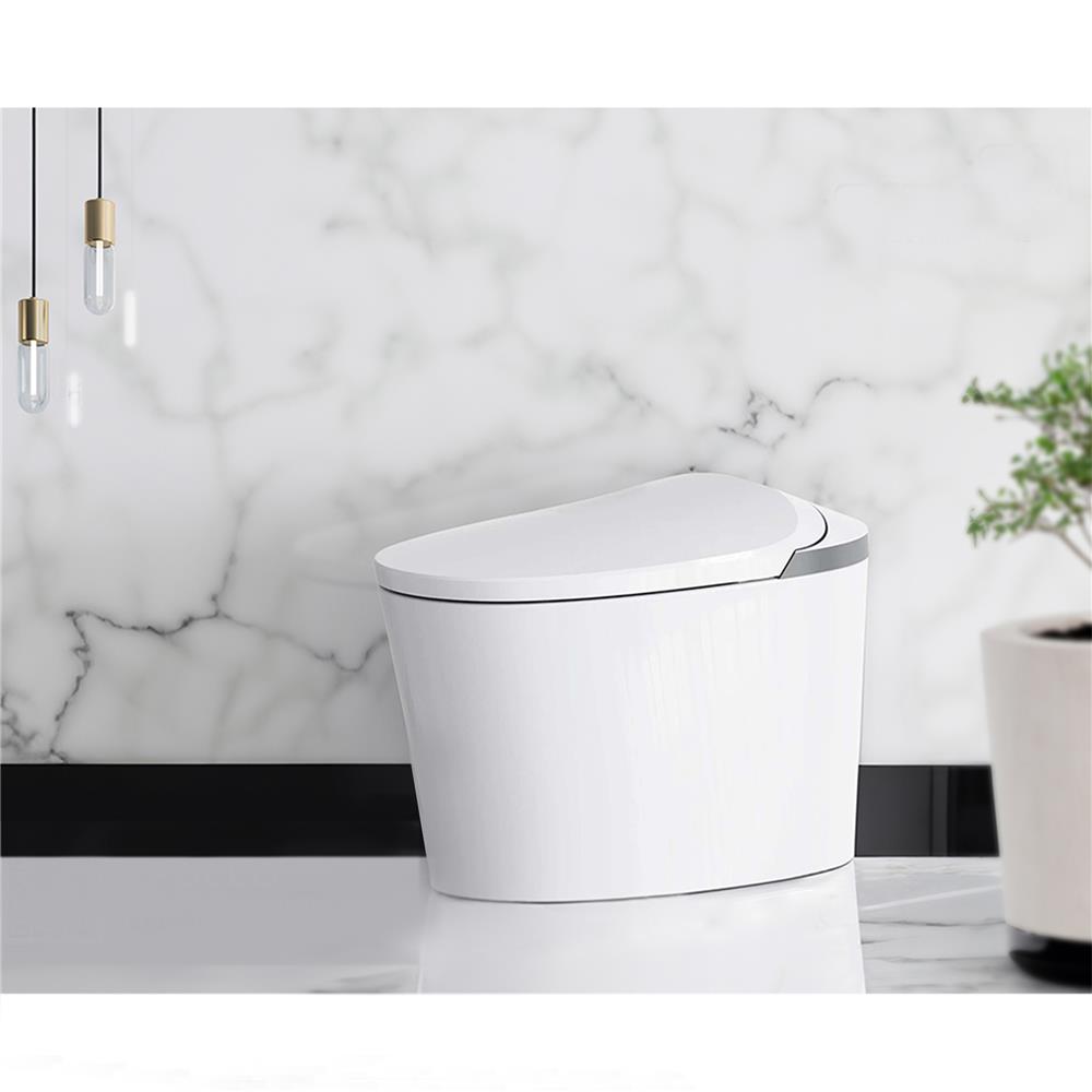 สุขภัณฑ์อัตโนมัติ ESTHER ECT-04-120-11 สีขาว